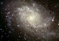 M 33 Spiral Galaxy - 2005