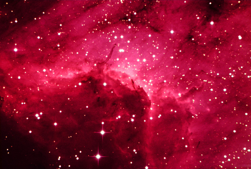 IC 5070 Pelican Nebula
