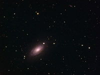 M 63 Spiral Galaxy