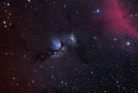 M 78 Reflection Nebula