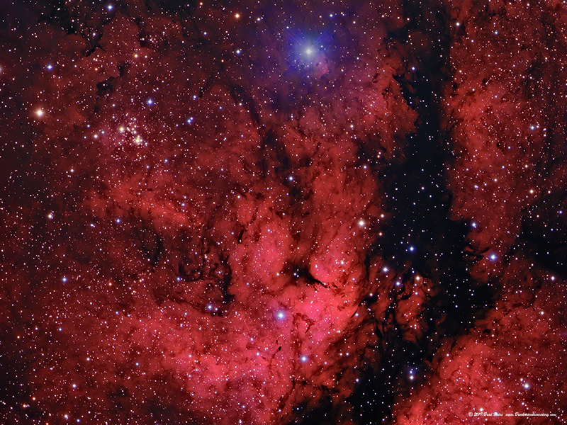 IC 1318 Gamma Cygni Nebula